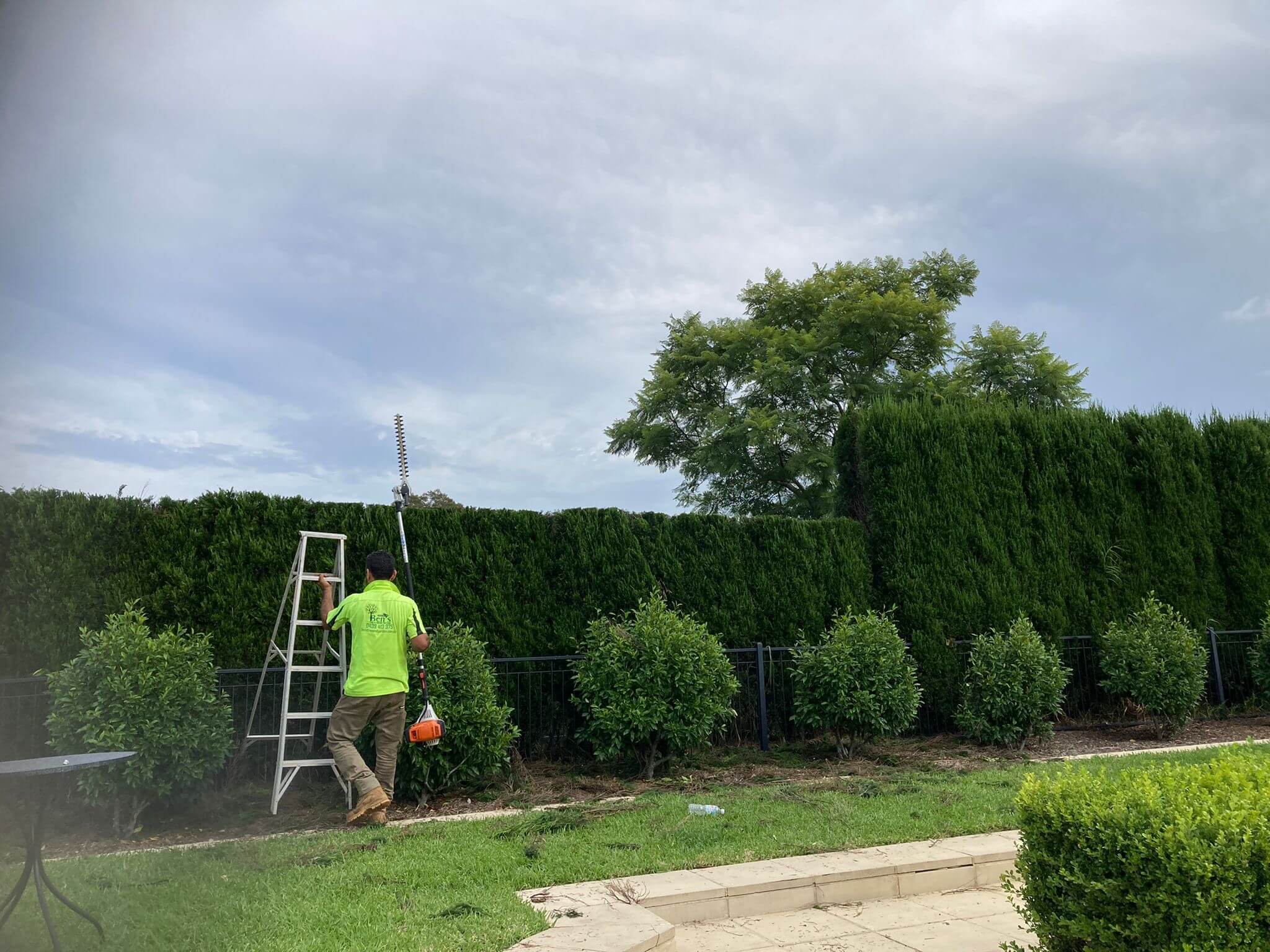 Branch Cutting Services Sydney - Ben's Tree and Garden Services